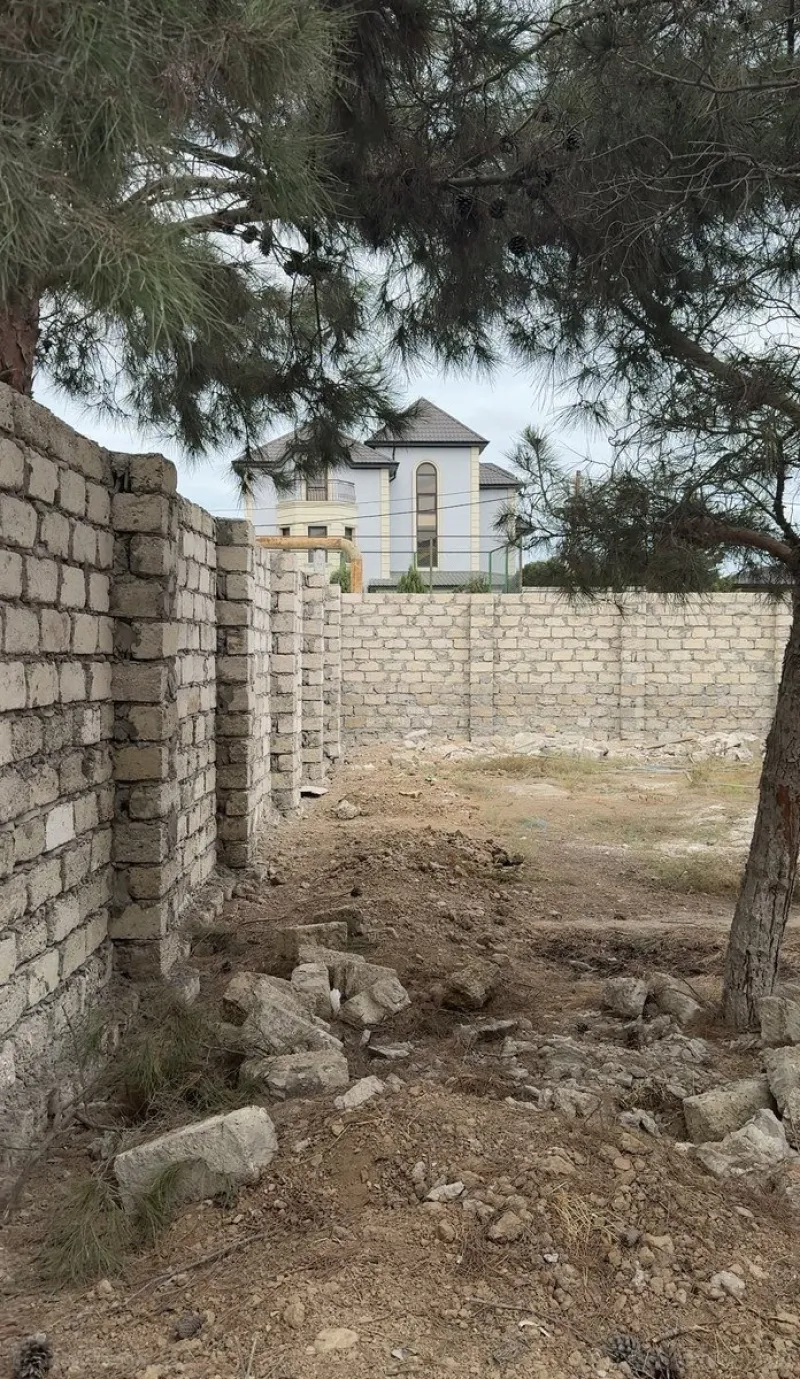 Satılır Torpaq 3 sot Şağan - şəkil 2