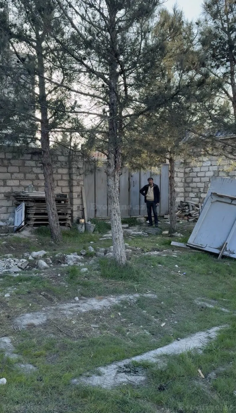 Satılır Torpaq 3 sot Şağan - şəkil 3