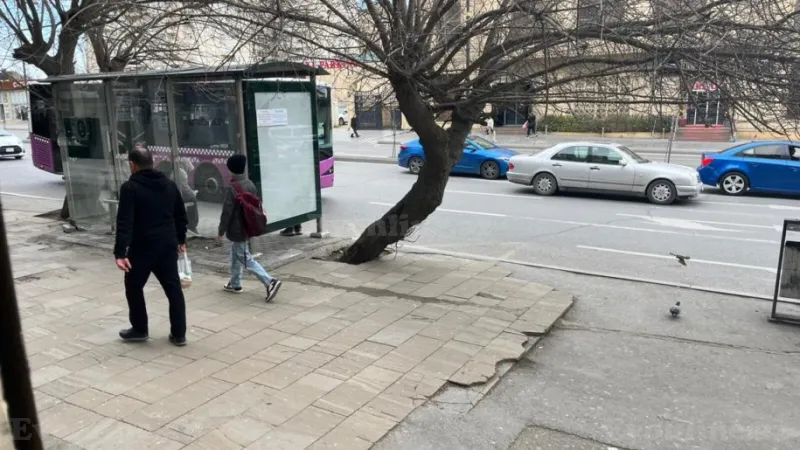 Kirayə verilir Obyekt 20 m² İnşaatçılar m. - şəkil 8