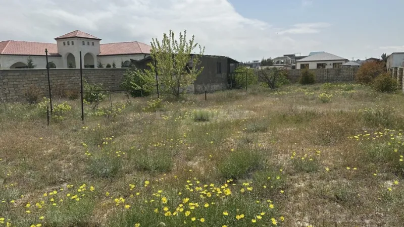 Satılır Torpaq 10 sot Nardaran - şəkil 3