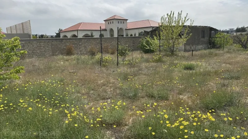 Satılır Torpaq 10 sot Nardaran - şəkil 4