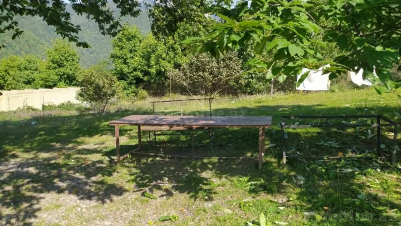 Satılır Torpaq 20 sot Qəbələ