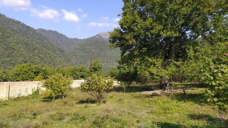 Satılır Torpaq 20 sot Qəbələ - şəkil 4