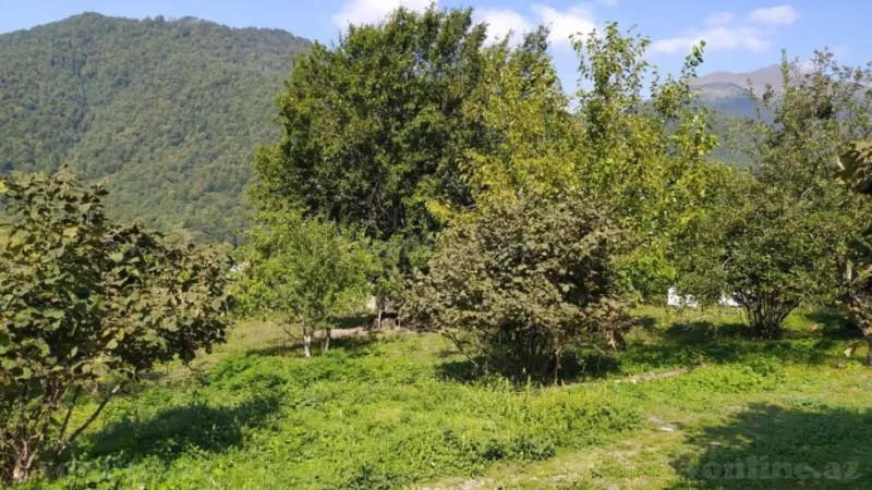 Satılır Torpaq 20 sot Qəbələ - şəkil 7