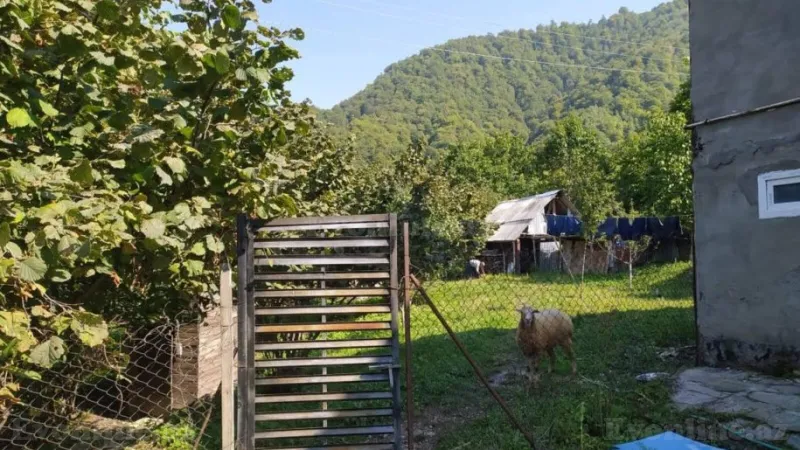 Satılır Torpaq 20 sot Qəbələ - şəkil 8