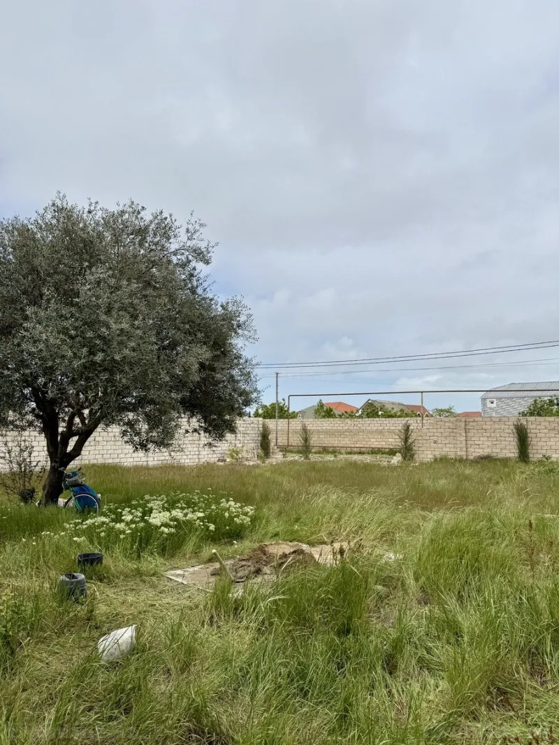 Satılır Torpaq 6 sot Sabunçu r. - şəkil 4