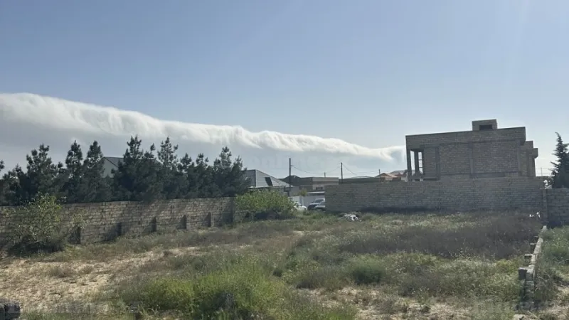 Satılır Torpaq 12 sot Nardaran - şəkil 5