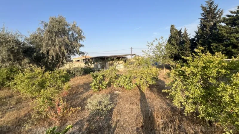 Satılır Torpaq 12 sot Nardaran - şəkil 4
