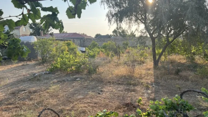 Satılır Torpaq 12 sot Nardaran - şəkil 8
