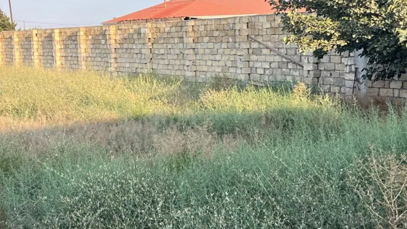 Satılır Torpaq 12 sot Nardaran - şəkil 4