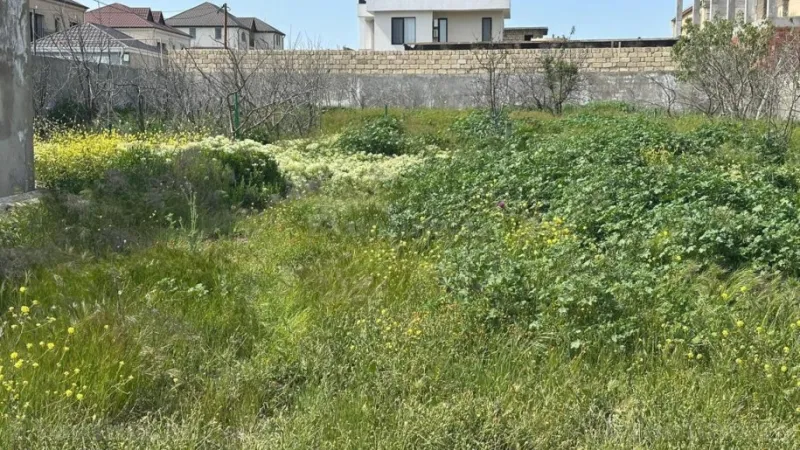 Torpaq Abşeron r. Satılır