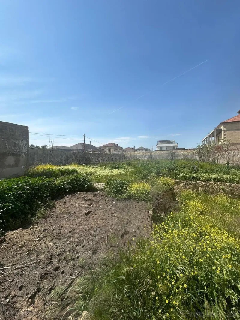 Satılır Torpaq 12 sot Abşeron r. - şəkil 4