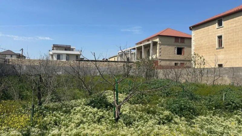 Satılır Torpaq 12 sot Abşeron r. - şəkil 6