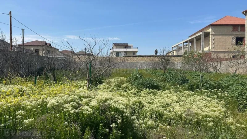 Satılır Torpaq 12 sot Abşeron r. - şəkil 7