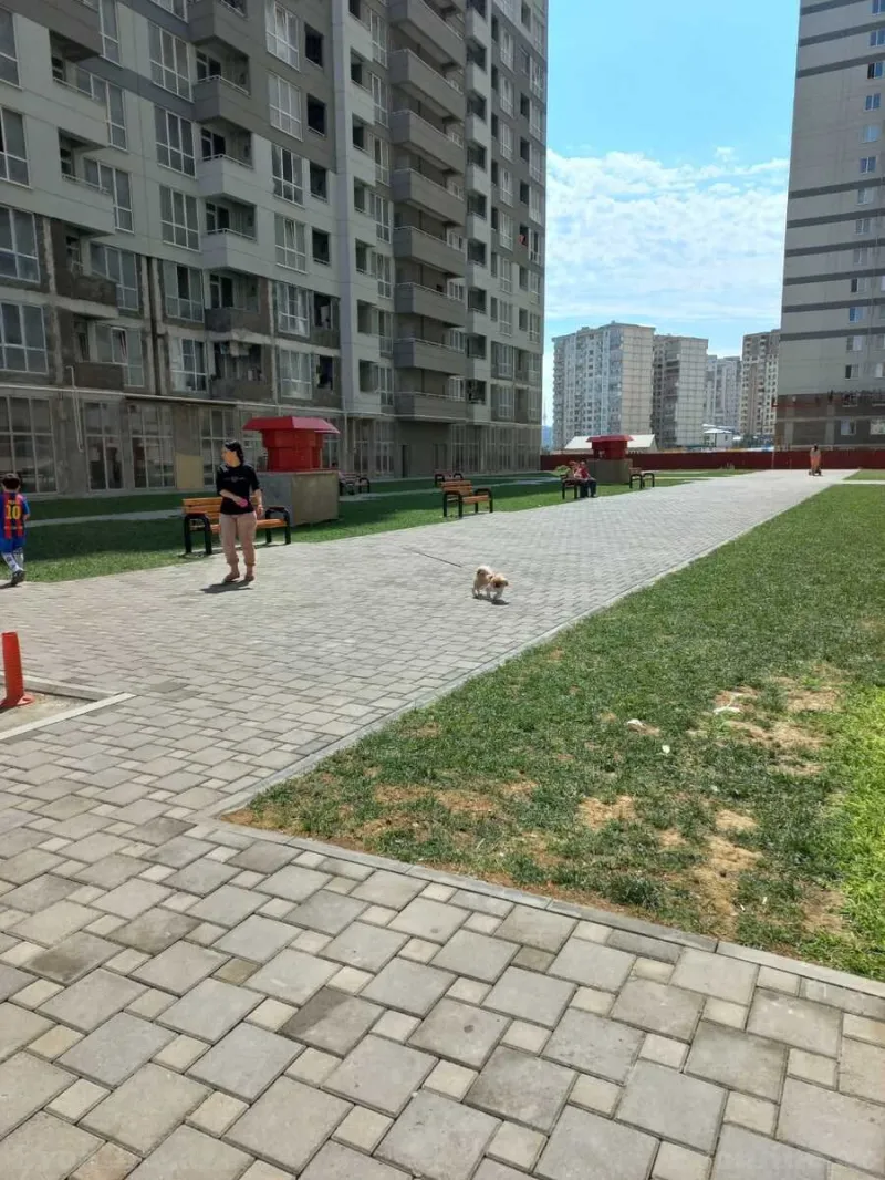 Kirayə verilir 2 otaqlı Mənzil Yeni tikili 50 m² Yeni Yasamal - şəkil 14