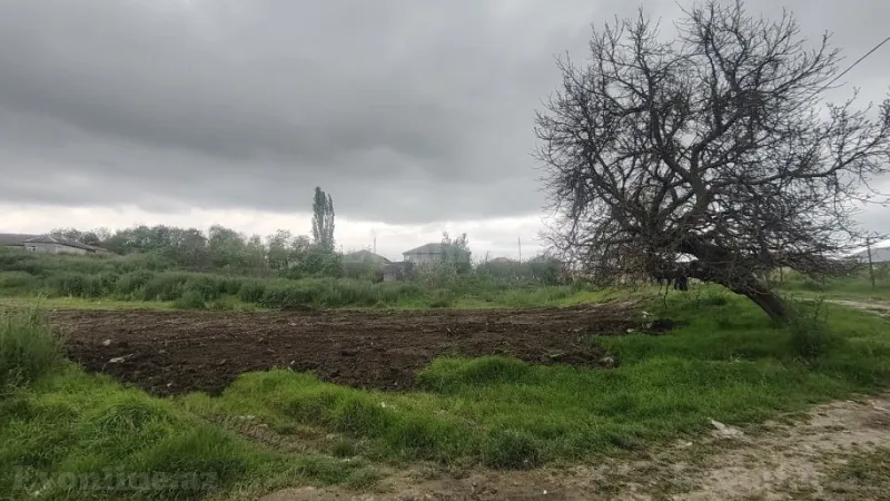 Satılır Torpaq 10 sot Quba - şəkil 6