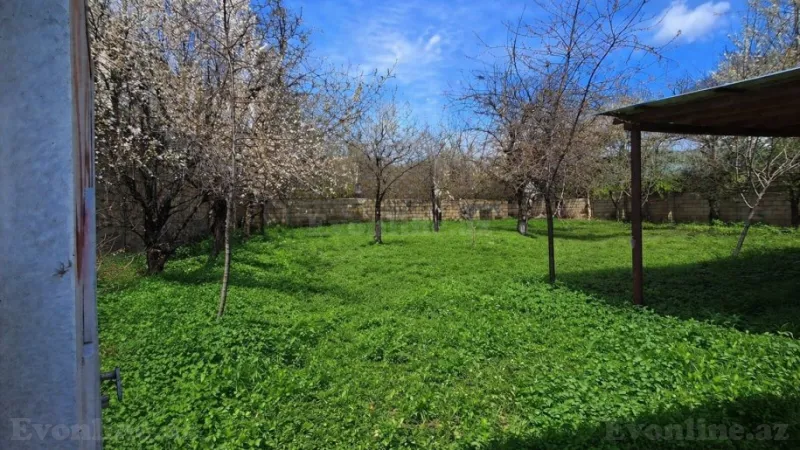 Satılır Torpaq 8 sot Qəbələ