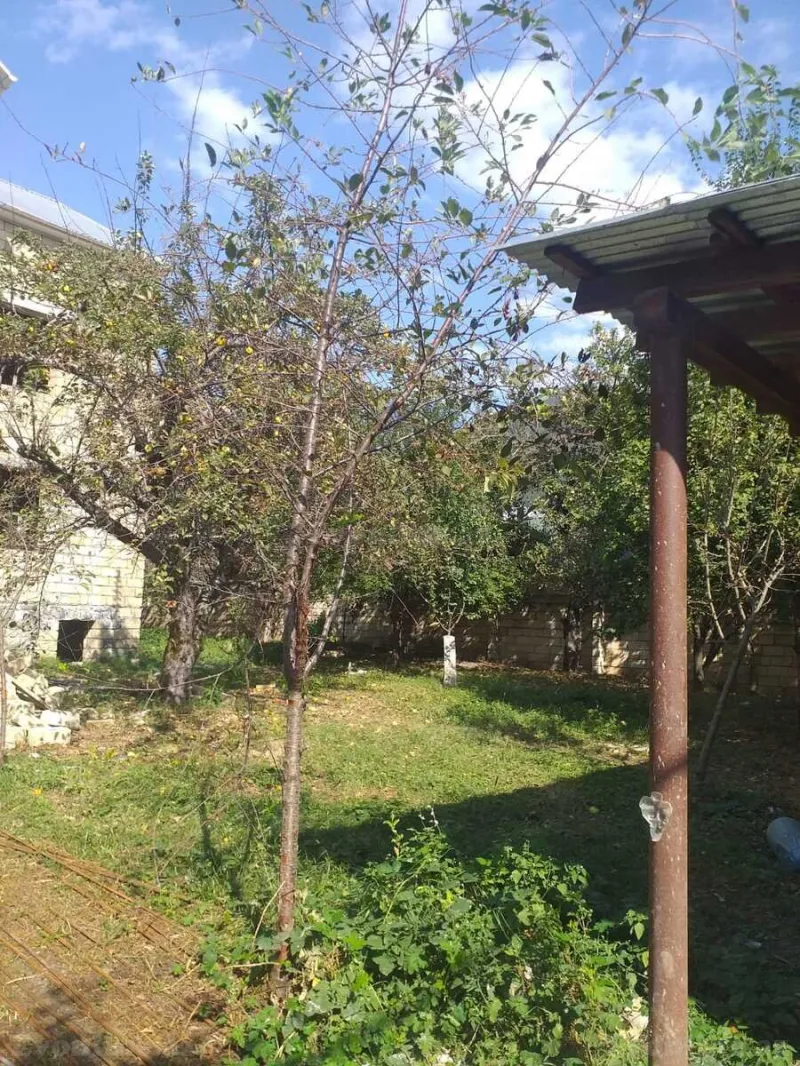 Satılır Torpaq 8 sot Qəbələ - şəkil 4