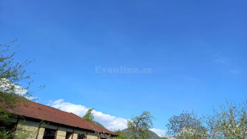 Satılır Torpaq 16 sot Qəbələ - şəkil 16