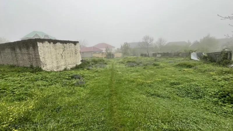 Satılır Torpaq 13 sot Qəbələ - şəkil 5
