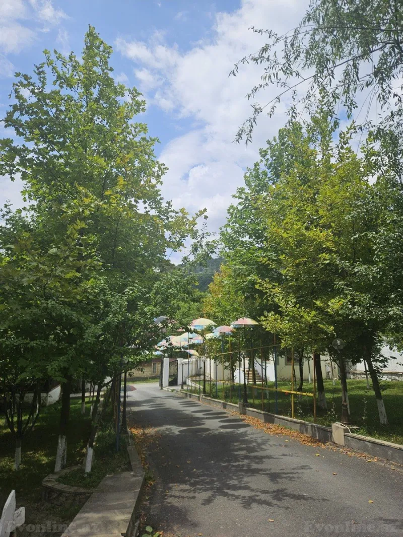 Satılır Obyekt 800 m² Qəbələ - şəkil 2