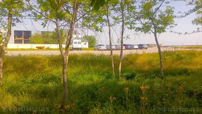 Satılır Obyekt 1200 m² Hacıqabul - şəkil 3