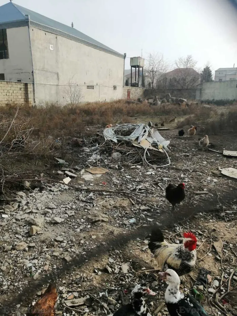 Satılır Torpaq 8 sot Novxanı - şəkil 6