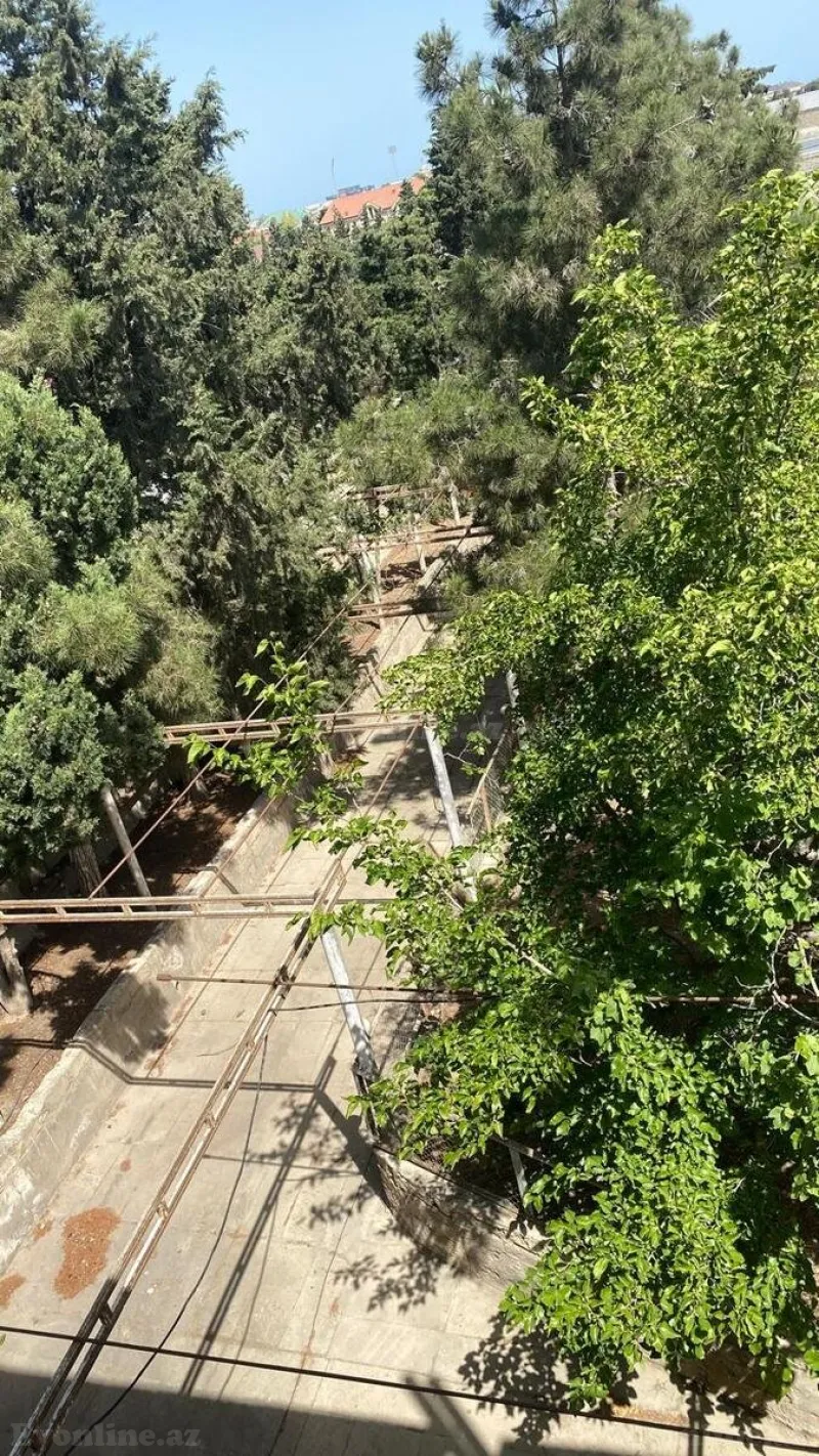 Torpaq Şüvəlan Satılır