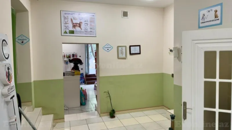 Satılır Obyekt 100 m² Elmlər Akademiyası m. - şəkil 15
