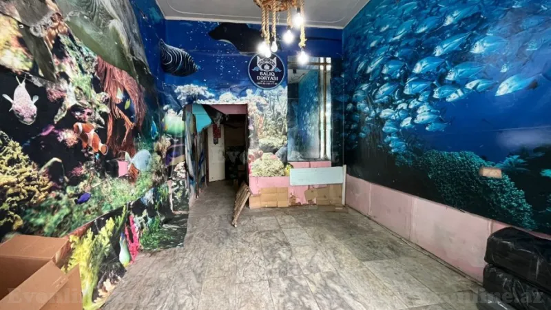 Kirayə verilir Obyekt 55 m² Nizami m. - şəkil 2