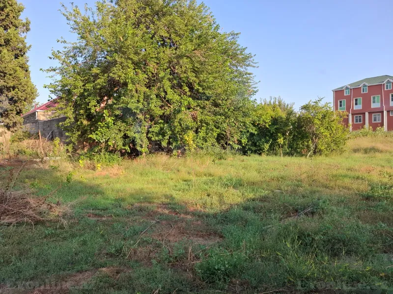 Satılır Torpaq 25 sot Novxanı - şəkil 2