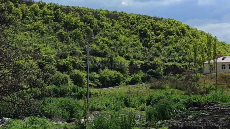 Satılır Torpaq 10 sot Quba - şəkil 2