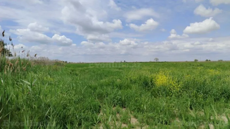 Satılır Torpaq 35092.6 sot Salyan - şəkil 6