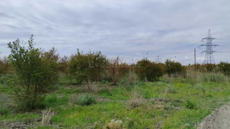Satılır Torpaq 35092.6 sot Salyan - şəkil 14