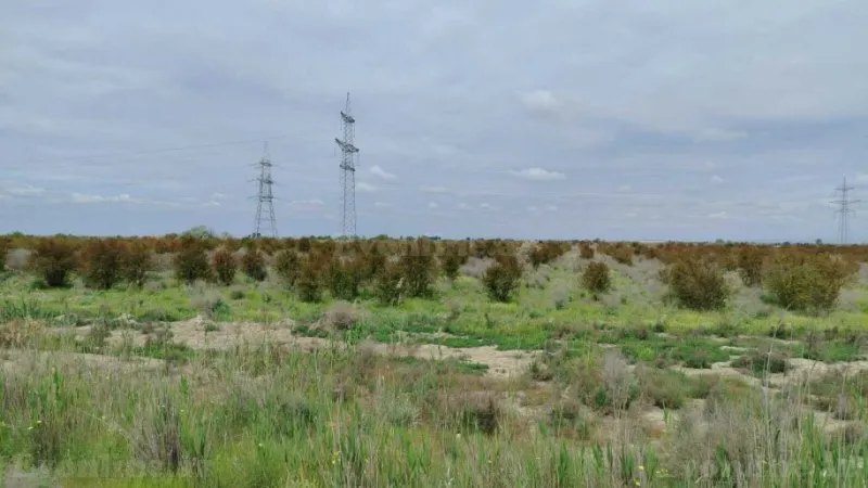 Satılır Torpaq 35092.6 sot Salyan - şəkil 15