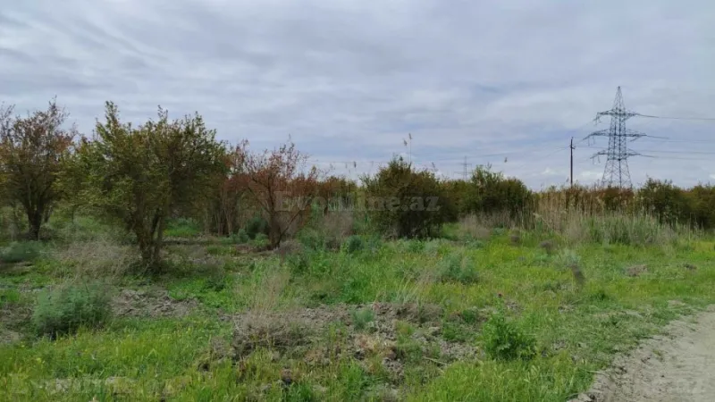 Satılır Torpaq 35092.6 sot Salyan - şəkil 18