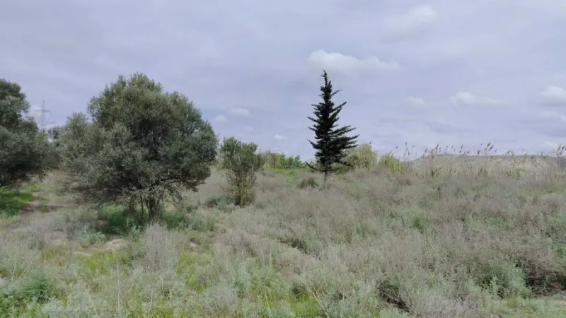Satılır Torpaq 35092.6 sot Salyan - şəkil 22