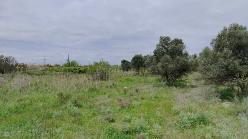 Satılır Torpaq 35092.6 sot Salyan - şəkil 24