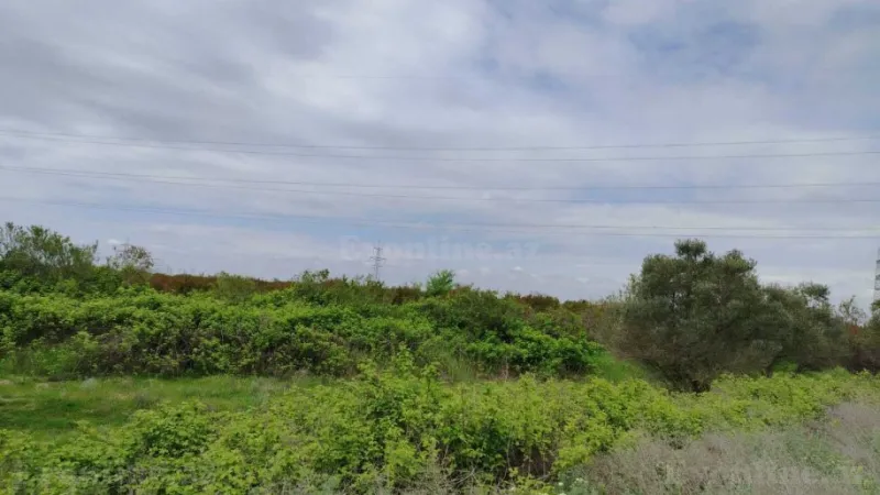 Satılır Torpaq 35092.6 sot Salyan - şəkil 25