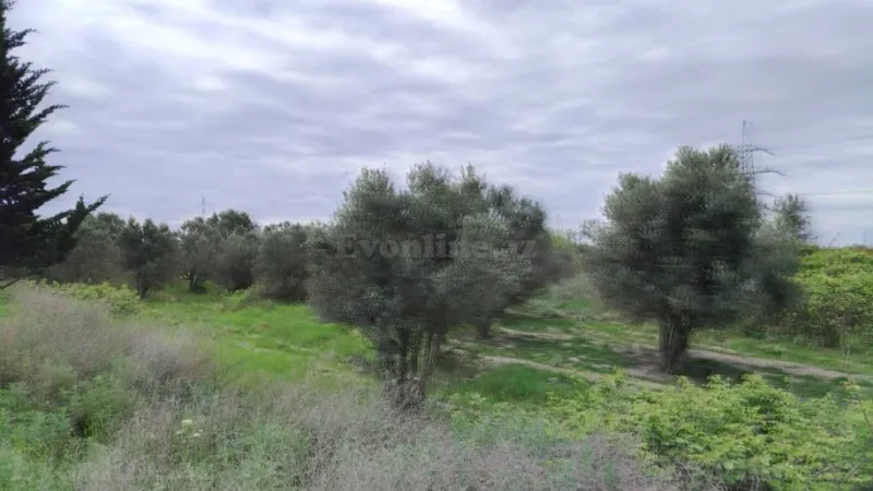 Satılır Torpaq 35092.6 sot Salyan - şəkil 26