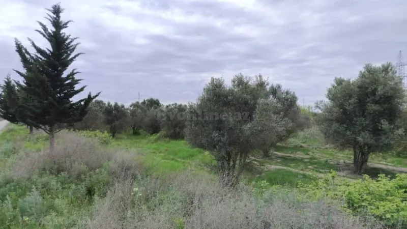 Satılır Torpaq 35092.6 sot Salyan - şəkil 27