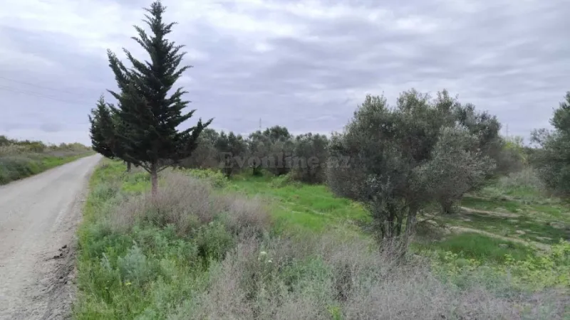 Satılır Torpaq 35092.6 sot Salyan - şəkil 28