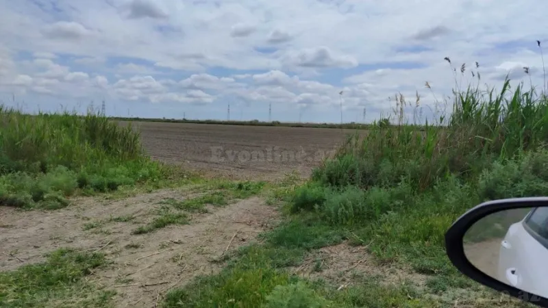 Satılır Torpaq 35092.6 sot Salyan - şəkil 29
