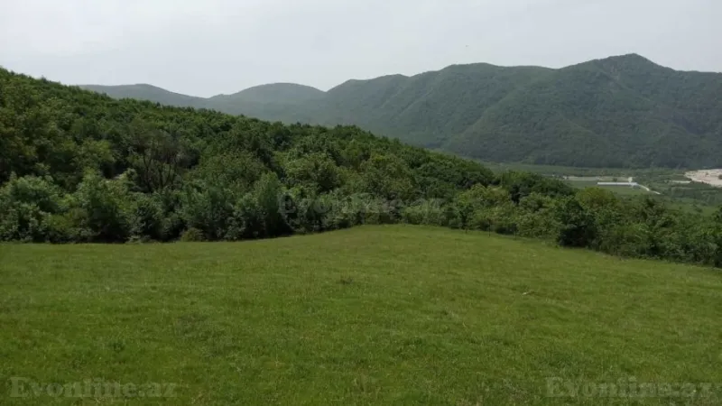 Satılır Torpaq 12 sot Şamaxı - şəkil 5