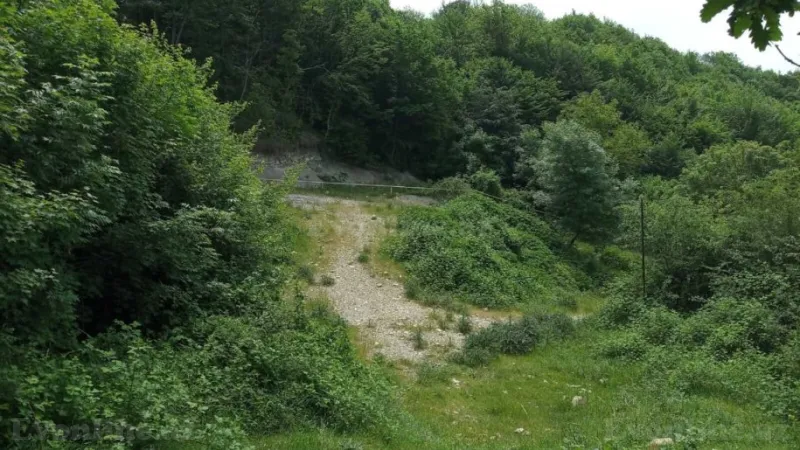Satılır Torpaq 12 sot Şamaxı - şəkil 10