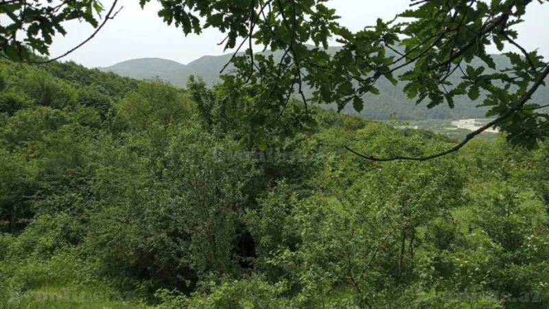 Satılır Torpaq 12 sot Şamaxı - şəkil 11