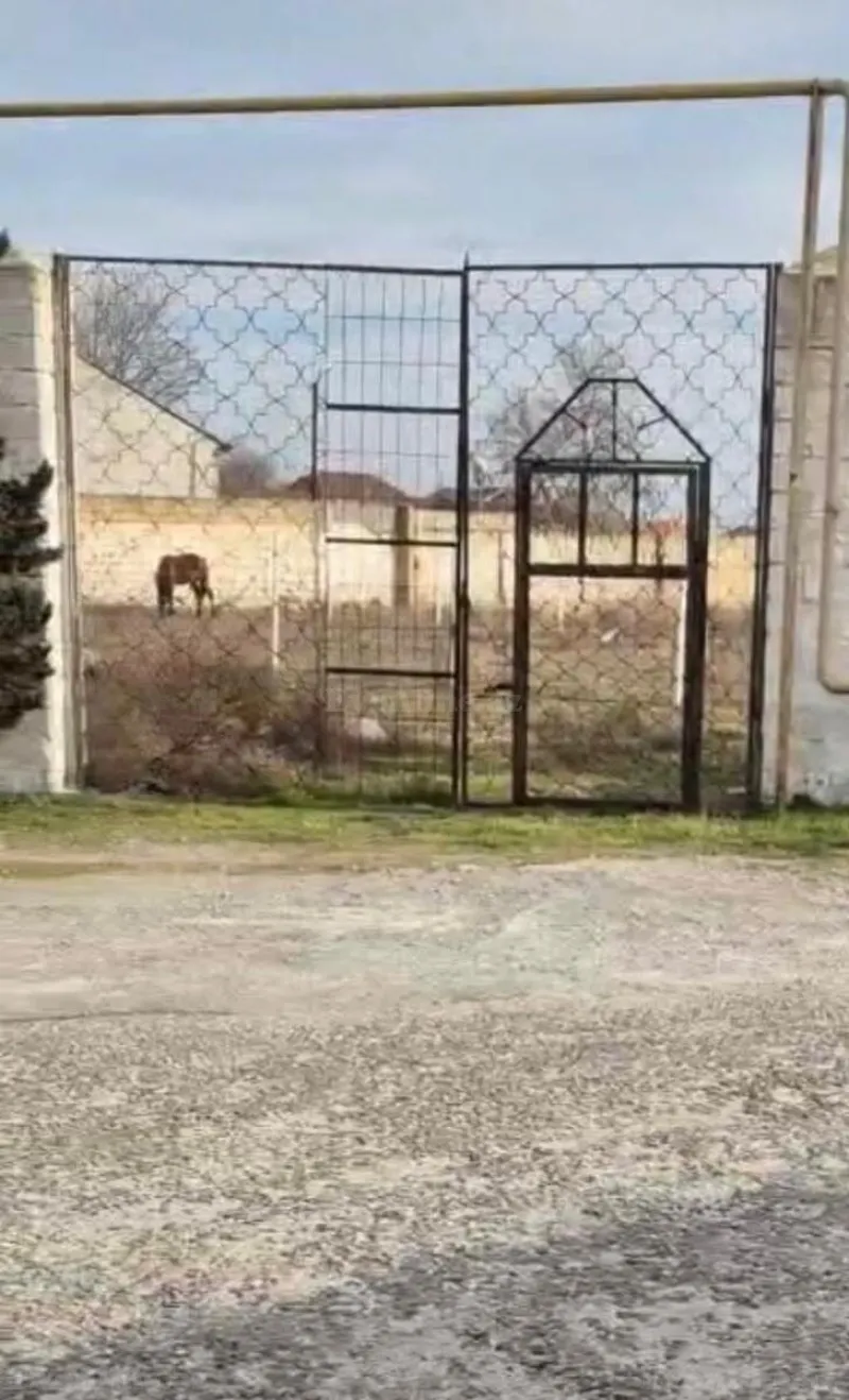 Torpaq Pirşağı Satılır