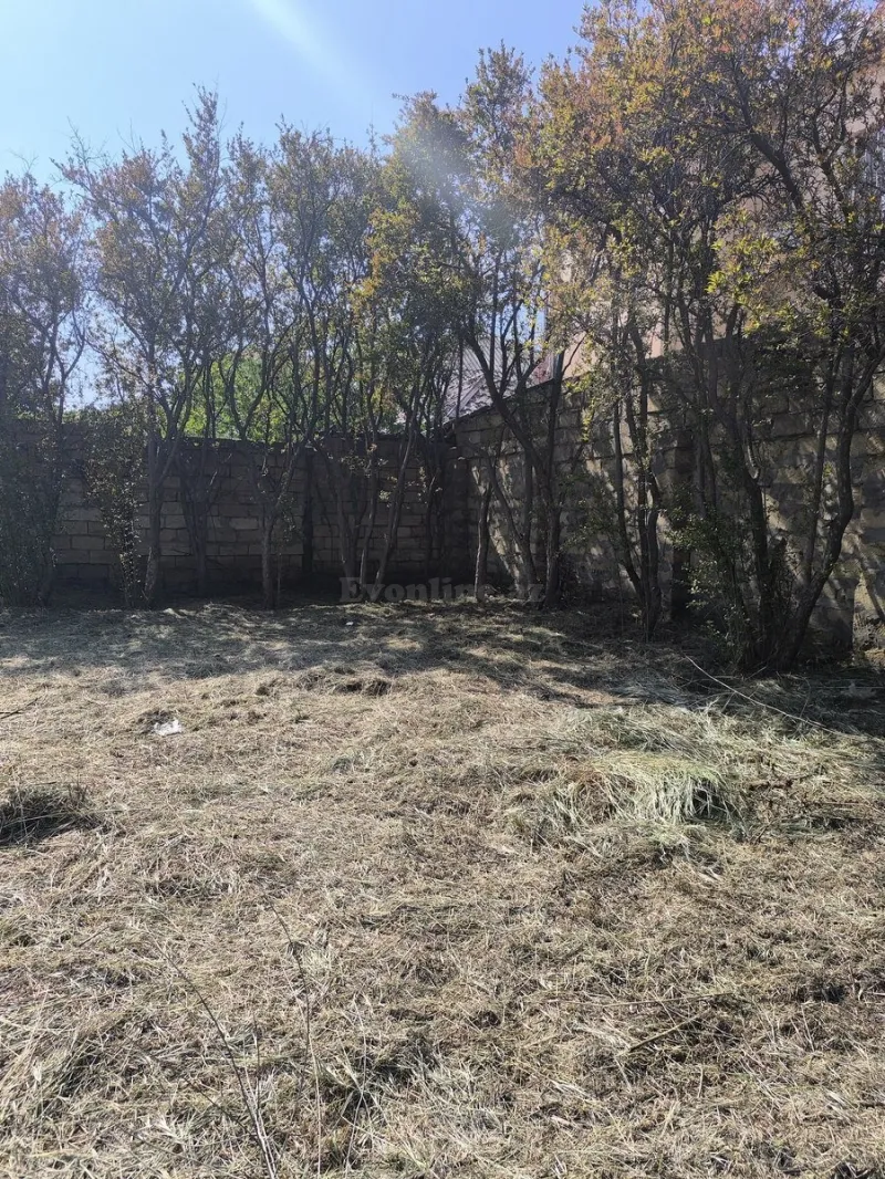 Satılır Torpaq 3 sot Novxanı - şəkil 12