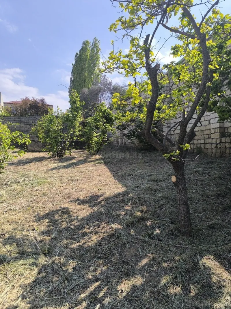 Satılır Torpaq 10 sot Novxanı - şəkil 11