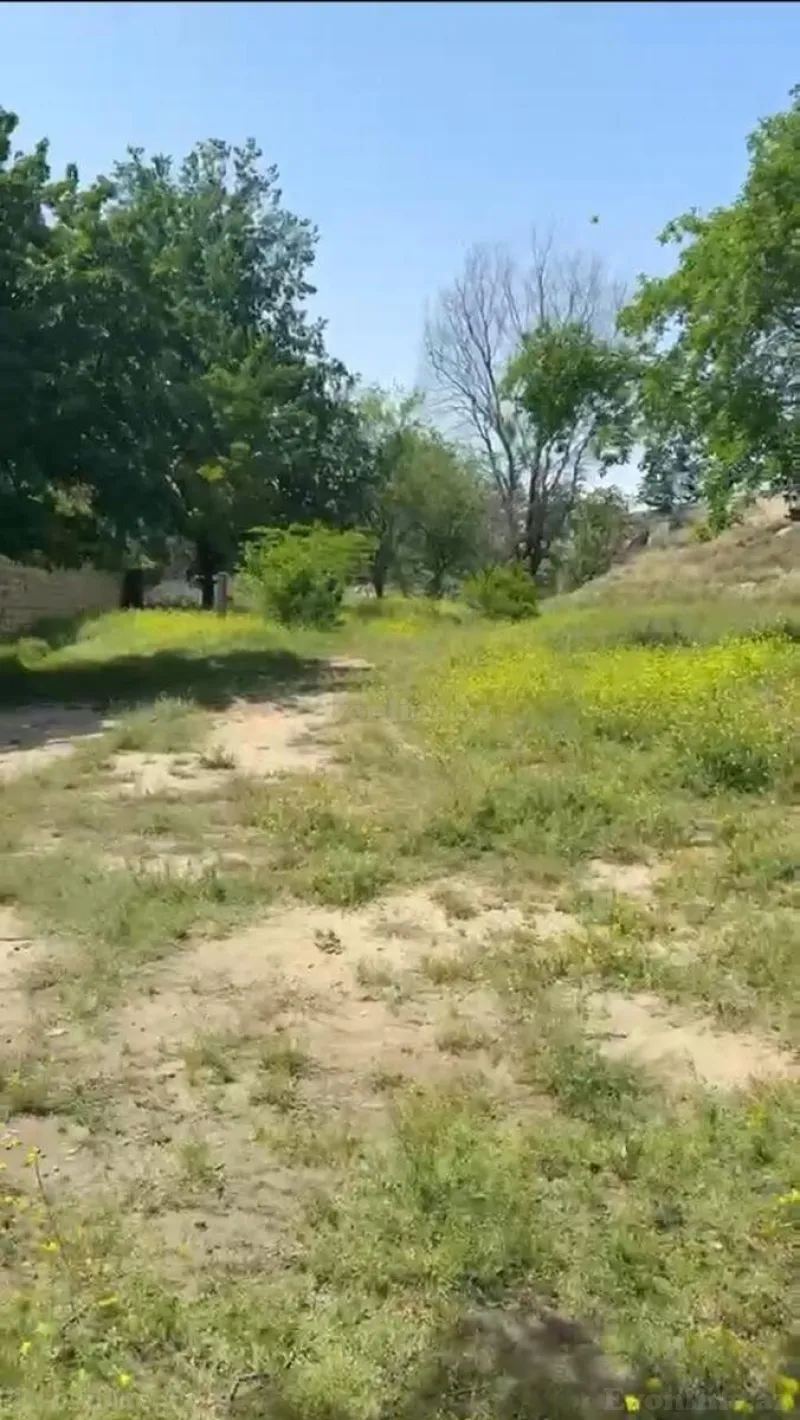 Satılır Torpaq 6 sot Sulutəpə